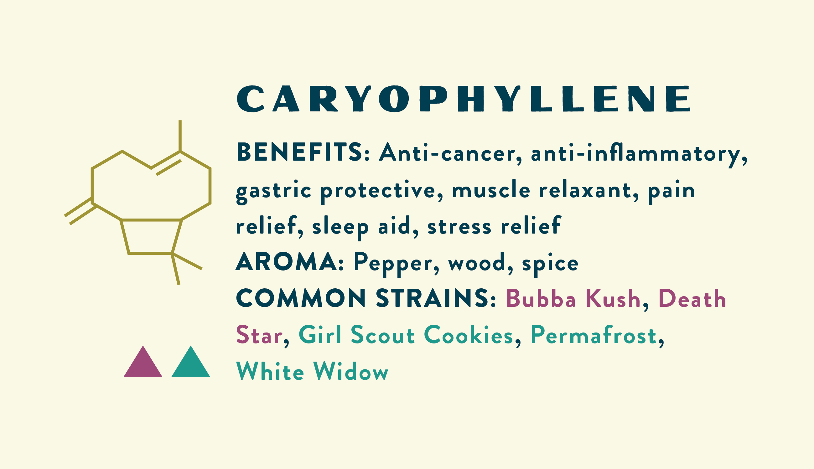 Caryophyllene Information